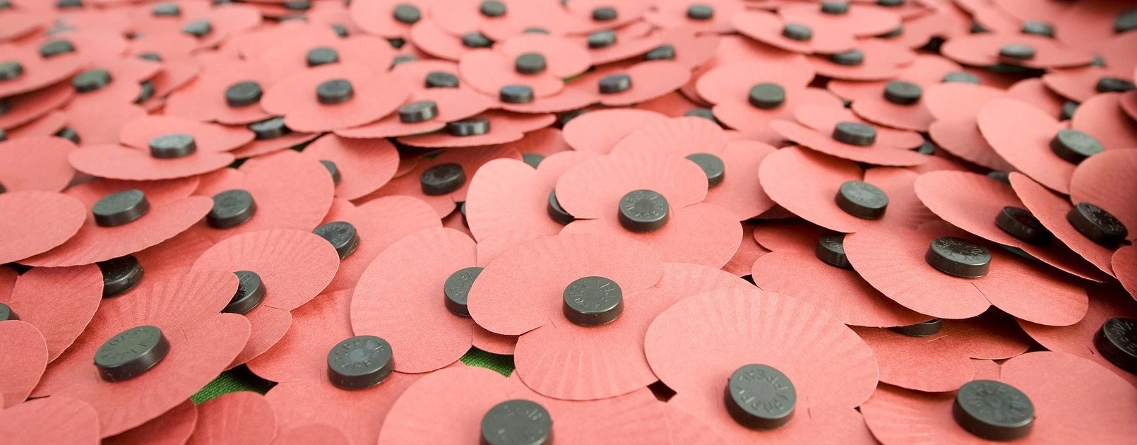 Royal British Legion paper poppies